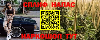прущие грибы Рузаевка