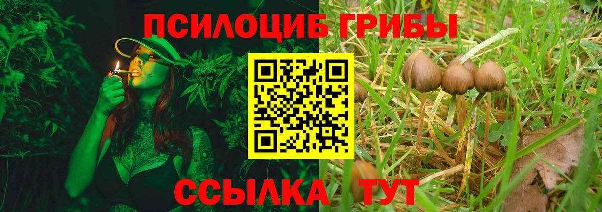 Галлюциногенные грибы прущие грибы Полевской
